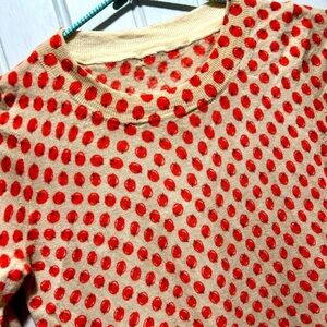 JCrew Crew Neck Fruit Print Sweater